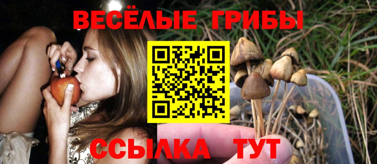 Белебей  Псилоцибиновые грибы мицелий  Вход с VPN  Галлюциногенные грибы мицелий 